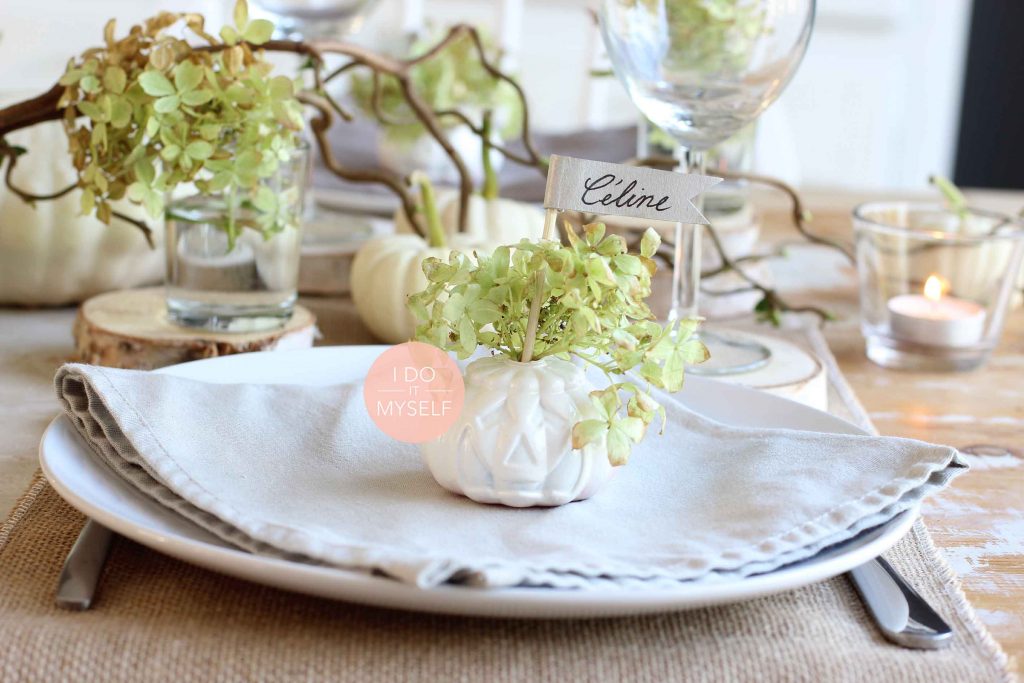 Table pumpkin 