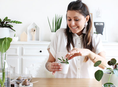 Plantes DIY