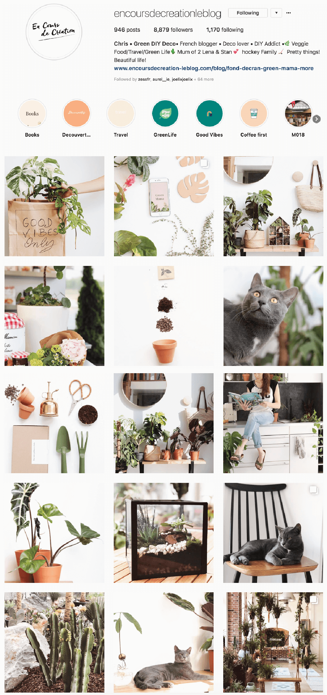 green blogger