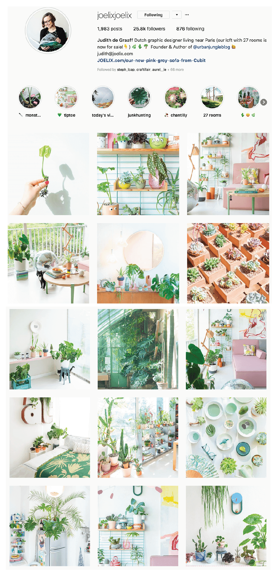 urban jungle