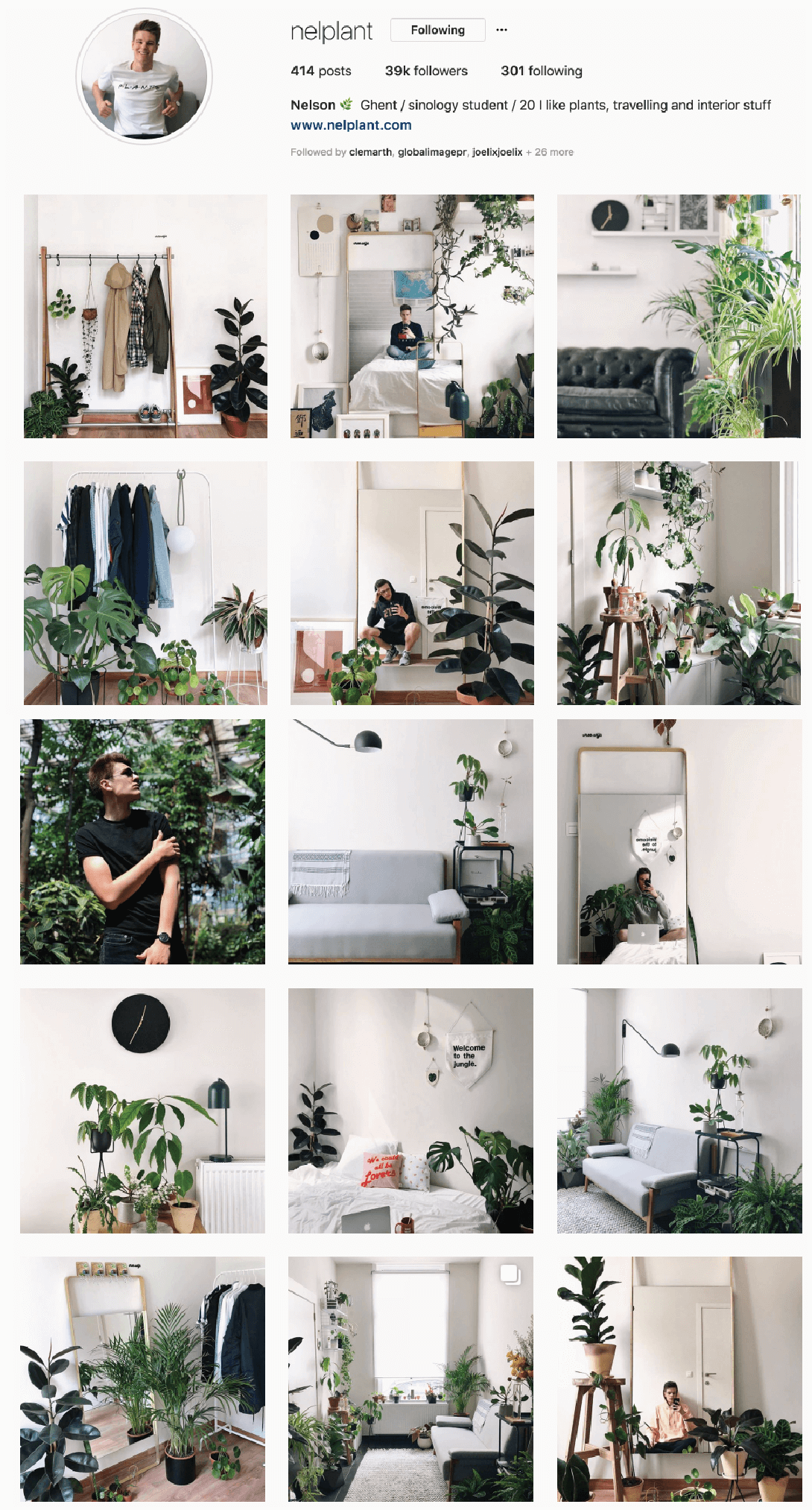 urban jungle 