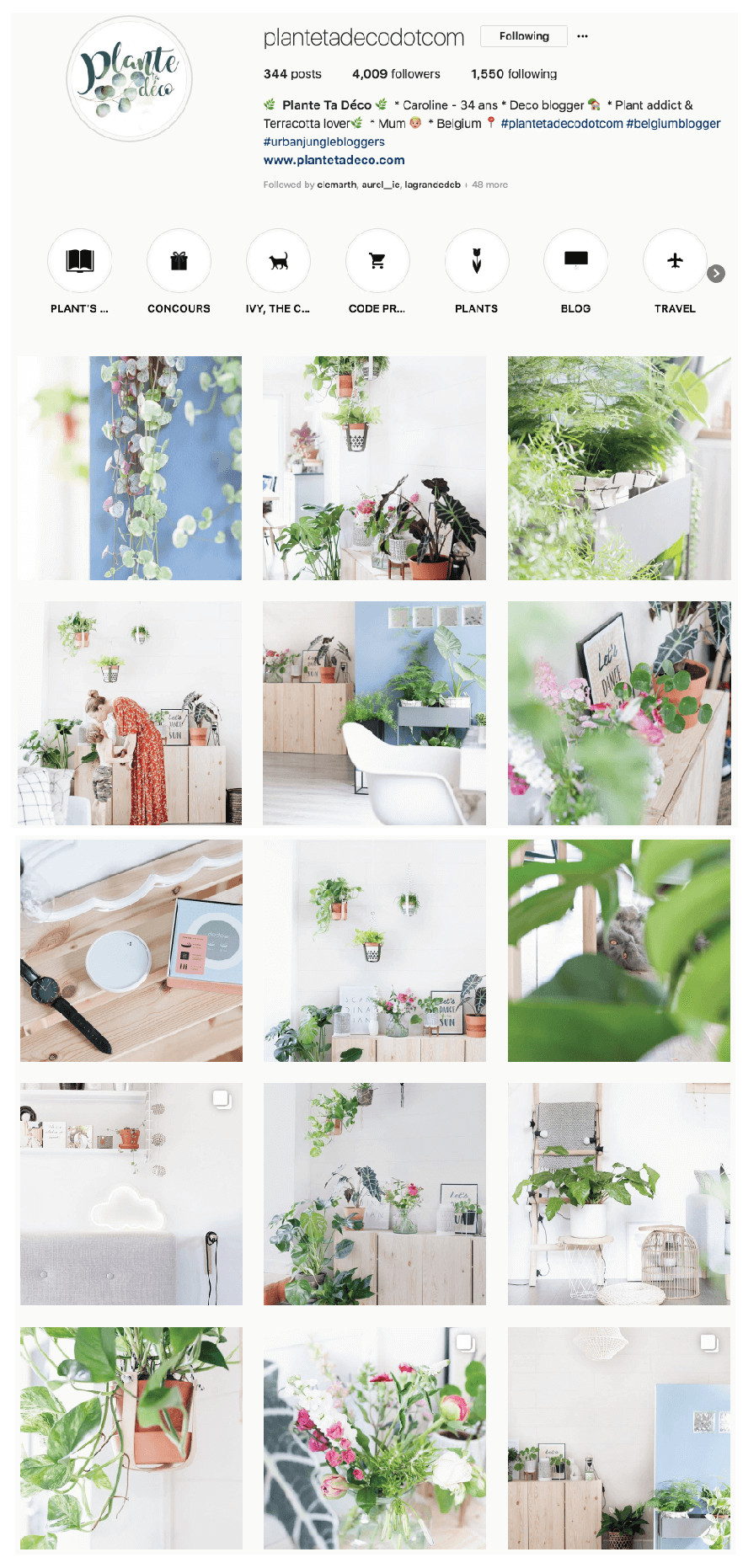 plante et deco 