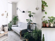 inspiration plantes