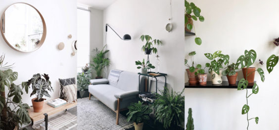 Inspirations : Les intérieurs green - I do it myself