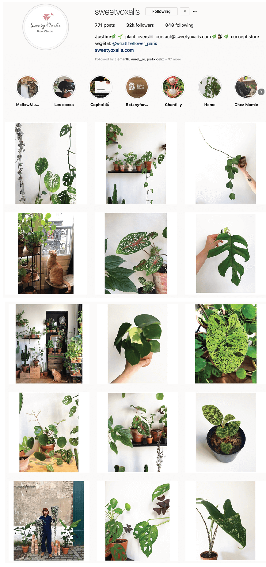 plant store