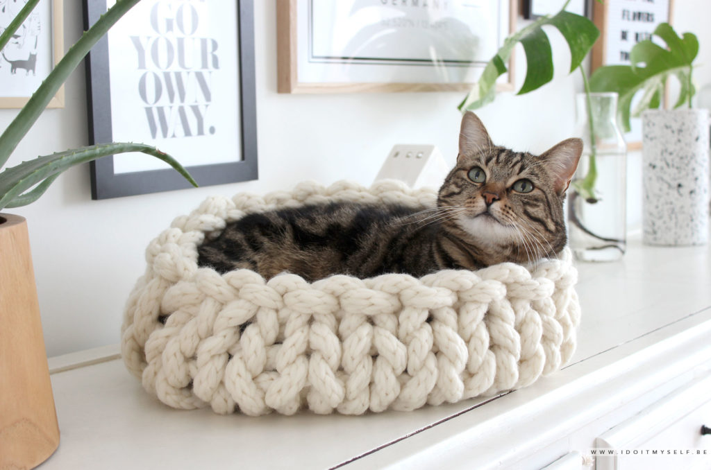 DIY : Un panier pour chat - I do it myself