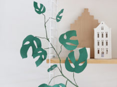 plante papier