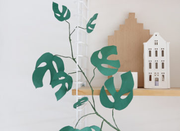 plante papier