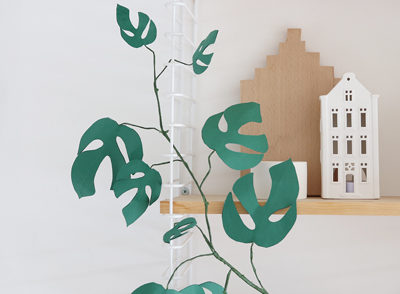 plante papier
