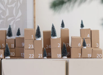 calendrier avent carton