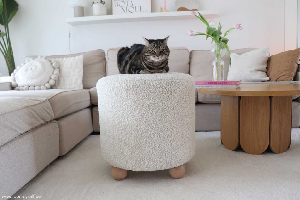 chat sur pouf en bouclette 